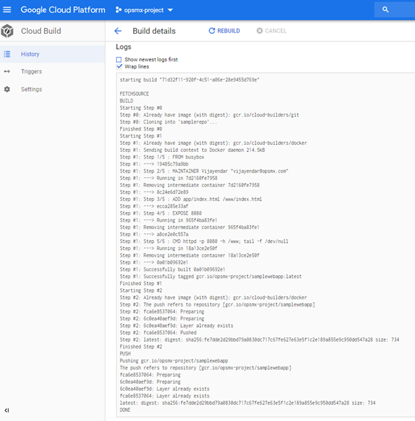 Check the logs for Google Cloud Build.